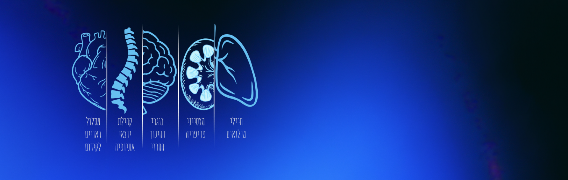 תחשבו רפואה. תלמדו רפואה. תהפכו לרופאות ולרופאים.