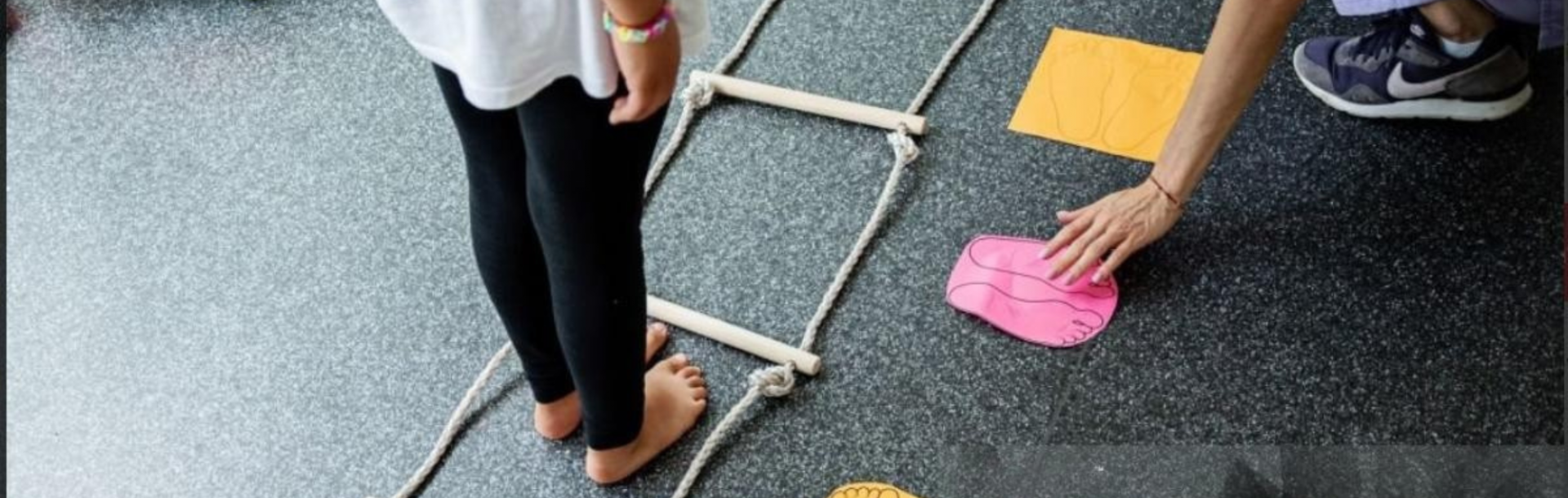 תכניות הלימוד שלנו במקום אחד