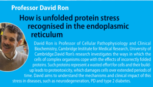 UK-Israel Medical Science Seminar Series