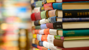 יום עיון: התהליך הפסיכואנליטי, מאת דונלד מלצר