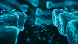 קורס שיקום סמסטר ב'