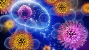 Raising from the ashes of treatment - understanding and targeting persister cells