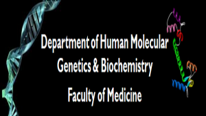 Department of Human Molecular Genetics & Biochemistry Faculty of Medicine