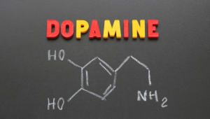 dopamine’s complexity dopamine circuits in the brain to understand how we learn complex tasks