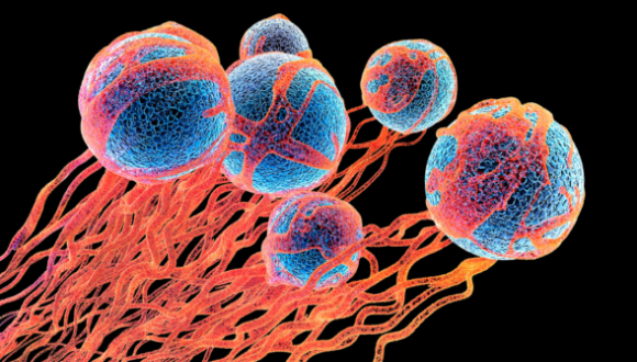 Lamarkian-like processes during drug adaptation in cancer: generation of location-specific and precise mutations