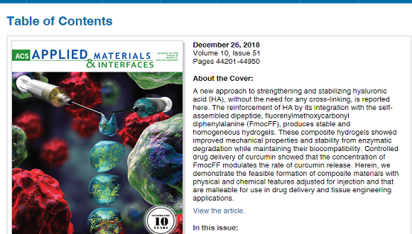 על השער: מחקר של ליהי אדלר-אברמוביץ על שער המגזין המדעי ACS Applied Materials & Interfaces