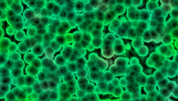 סמינר מחלקתי - המחלקה למיקרוביולוגיה ואימונולוגיה קלינית 5.3.14 סמינר מחלקתי - המחלקה למיקרוביולוגיה ואימונולוגיה קלינית 5.3.14