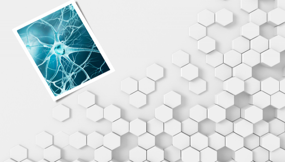 נוירולוגיה ונוירוכירורגיה קורס נוירולוגיה ונוירוכירורגיה