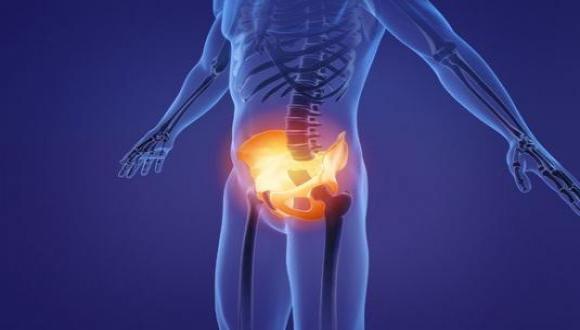 מה הקשר בין רצפת האגן והתפקוד  המיני?  מאת גב' נטע ביאר, פיזיותרפיסטית של רצפת האגן, רכזת בקורס לדבר מיניות 