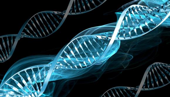סמינרים - החוג לגנטיקה מולקולרית של האדם ולביוכימיה 6.1.14