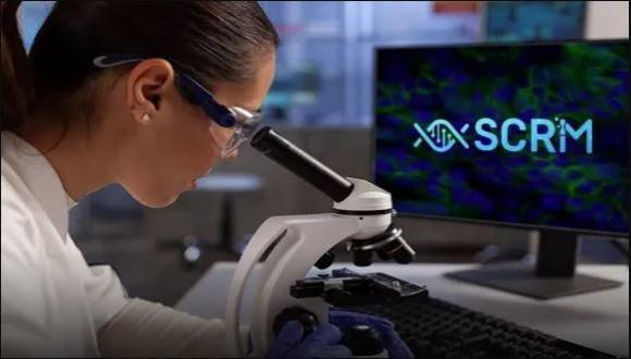 The Sagol Center for Regenerative Medicine (SCRM) 2023-2024 grant winners 