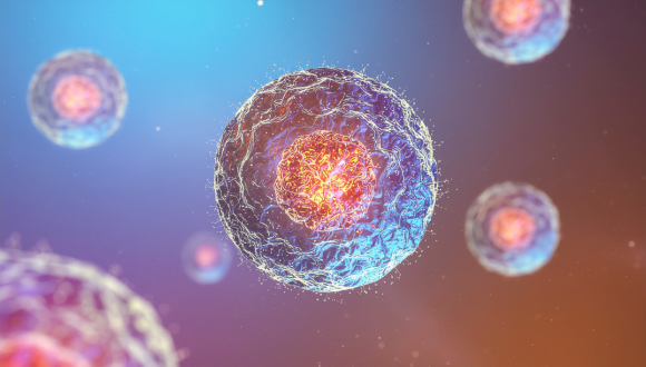 Cell, Developmental and Regenerative Biology Seminar