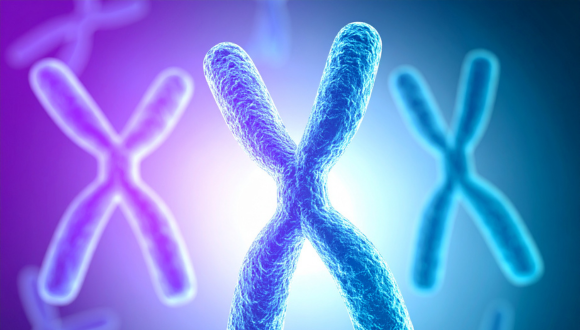 Concluding seminar Sapir Shemesh Concluding seminar Sapir Shemesh