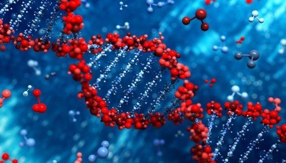 עמוד החוג לגנטיקה מולקולרית של האדם וביוכימיה 
