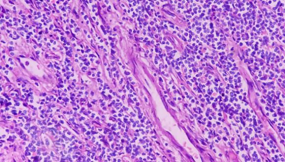 Developmental Maturation of Olfactory Circuits Underlying Innate Behavior Developmental Maturation of Olfactory Circuits Underlying Innate Behavior