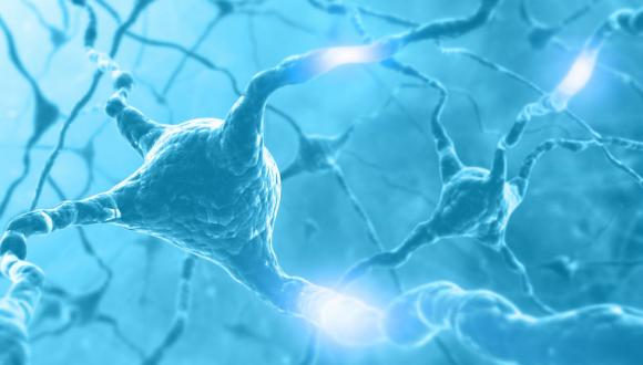 החוג לנוירולוגיה ונוירוכירורגיה