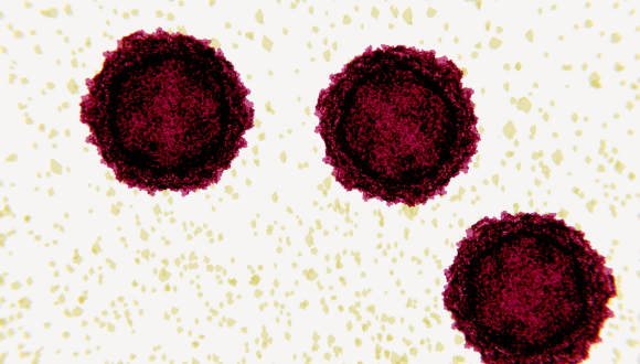 כשהווירוס פוגש את ונוס: מבט עדכני על אפדמיולוגיה של מחלות מין