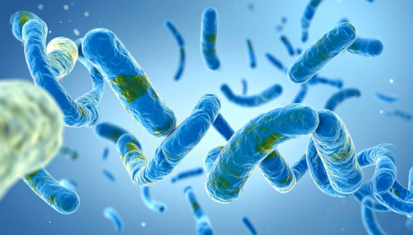 הכנס של הפורום להוראה ומחקר באפידמיולוגיה של מחלות זיהומיות וחיסונים