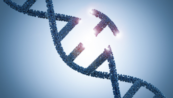 Dissecting Alzheimer's Disease Risk Genes: Insights from Immune Genetic Perturbations Dissecting Alzheimer's Disease Risk Genes: Insights from Immune Genetic Perturbations