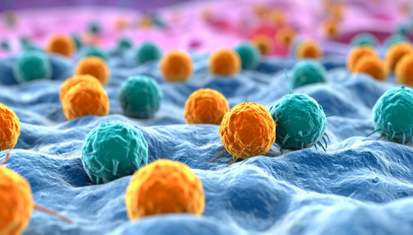 Tumor-stroma coevolution