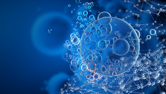 EV-DNA-Mediated Immune Communication: A Barrier to Metastasis EV-DNA-Mediated Immune Communication: A Barrier to Metastasis