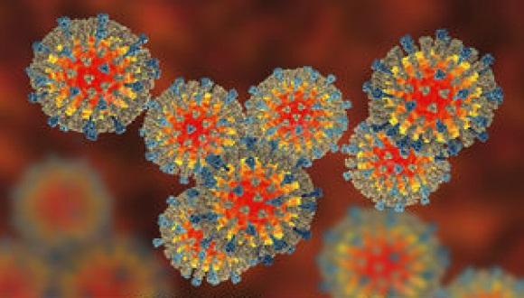 Symposium: Progress on Elimination of Measles, Rubella and Polio