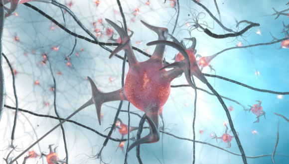 The hidden SINEs of recovery" Repeat element RNAs integrate neuronal growth after injury"