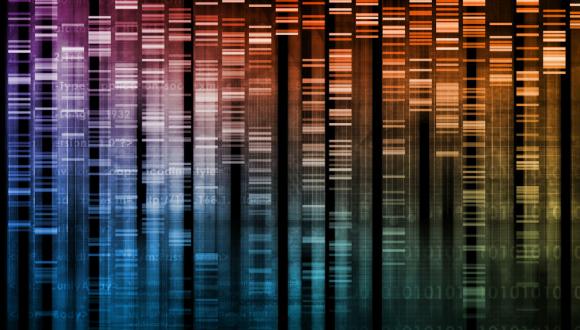 סמינר סטודנטים - החוג לגנטיקה מולקולרית של האדם ולביוכימיה 20.5.13