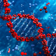 עמוד החוג לגנטיקה מולקולרית של האדם וביוכימיה 