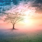 כיצד מרפאים את הנפש בצל הטילים ומה תפקידה של הרפואה האינטגרטיבית בימי מלחמה? מאת ד"ר דן ליבון