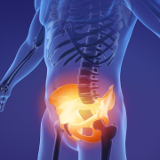 מה הקשר בין רצפת האגן והתפקוד  המיני?  מאת גב' נטע ביאר, פיזיותרפיסטית של רצפת האגן, רכזת בקורס לדבר מיניות 