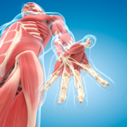 לימודים לתואר מוסמך (M.Sc.PT)